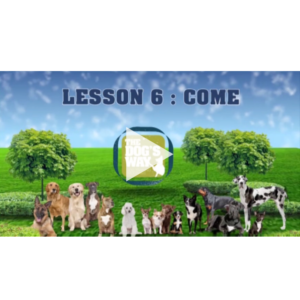 Lesson 6 - come