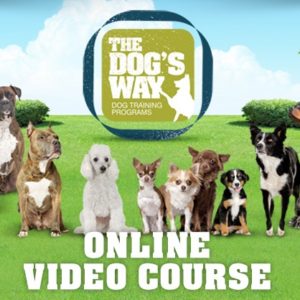 Dog training online course