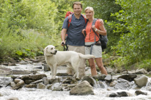 hikers with dog