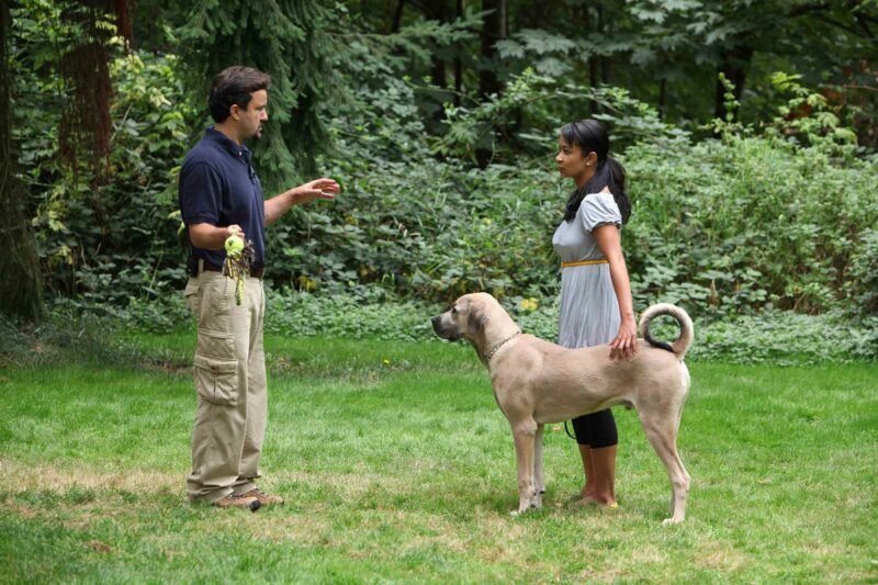 Sean teaching a female dog owner