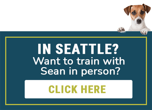 In Seattle? Want to train with Sean in person? Click here