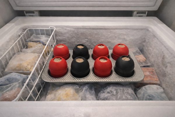 Frozen Kongs in Muffin Tin