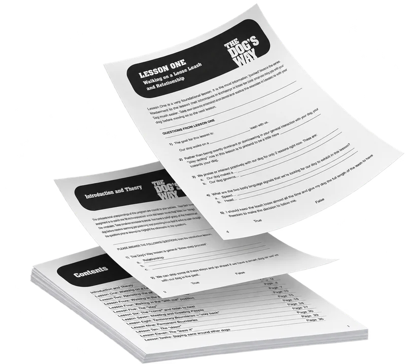 Printable workbook pages from The Dog's Way course